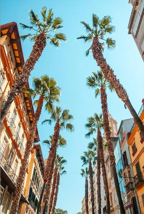 Duplex Chillout Centro Historico Malaga Apartment 0*,